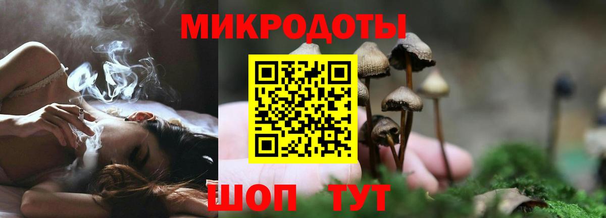 Псилоцибиновые грибы прущие грибы Новокузнецк